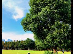 -山明水秀大饭店