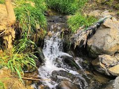 -白水寺森林公园