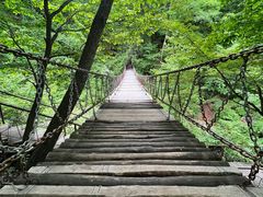 -龙道沟景区