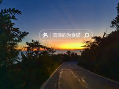 -东澳岛