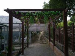 -美家乐农庄·露营·团建(大治路店)