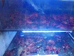 -虾铺子龙虾·私房菜(金源花苑店)