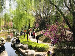 -西安青龙寺遗址景区