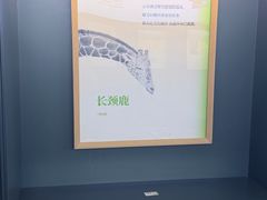 -思南书局(复兴中路店)