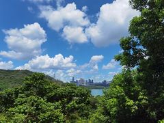 -深圳仙湖植物园