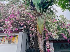 -深圳国际园林花卉博览园