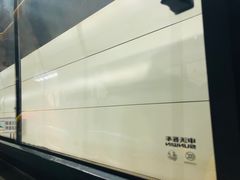 -胶州湾海底隧道