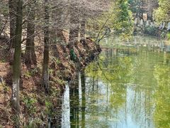 -八大山人梅湖景区