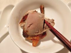 -大鸽饭(动物园店)