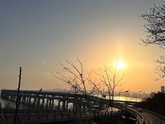 -星海广场