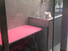 -宠福鑫康馨动物医院·骨科·眼科