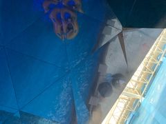 -青岛东方影都融创水世界