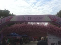-南汇桃花村