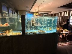-荣轩(新荣记环球金融中心店)