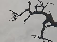 -玉泉观