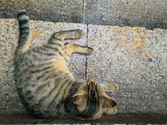 -荔湾湖公园