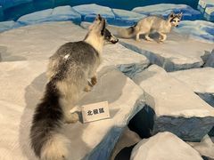 -陕西自然博物馆