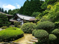 -西芳寺(苔寺)