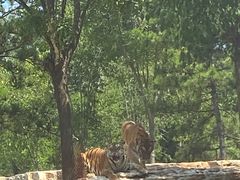 -秦皇岛野生动物园