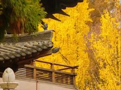 -径山寺
