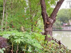 -扬州香格里拉·香宫中餐厅