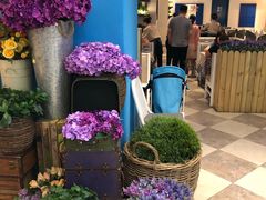 -Aqua Oasis 水天堂(相城天虹商场店)