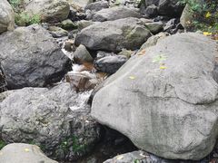 -云岫谷游猎自然风景区