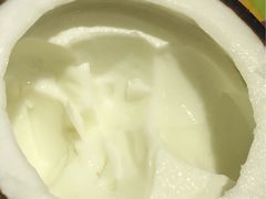 -志龙皇冠吃货椰子铺