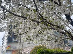 -上海静安大悦城