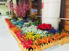 -丽江三义国际机场