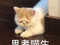 -地锅居(翰林邻里中心店)