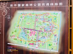 -东平国家森林公园