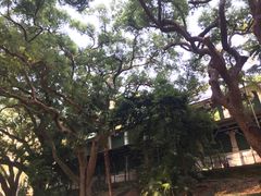 -九龙公园