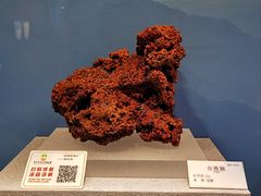 -贵州省地质博物馆