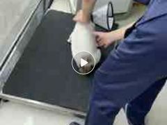 -乐琪宠物医院·犬猫专科·骨外科·急重症