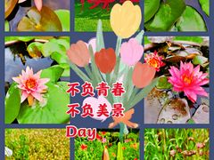 -花开海上生态园