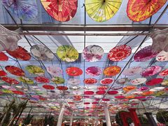-广东花都香草世界旅游度假区