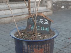 -北京国子监胡同