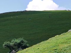 -克什克腾世界地质公园青山景区