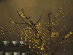 -手佳·水疗汇(嘉益店)