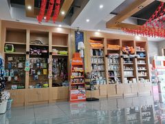 -瑞派名望志远动物医院·猫科·內科·异宠专科(直港大道店)