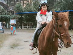 -美心红酒小镇游乐园