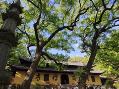 -普陀山风景名胜区-法雨禅寺