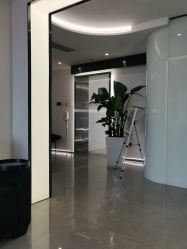 -处女座·MISS VIRGO·半永久纹眉野生眉