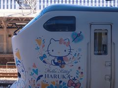 -关西机场 JR ticket office(Kansai Airport)
