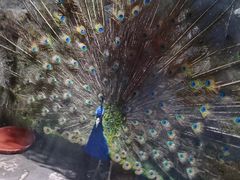 -多彩贵州城极地海洋世界