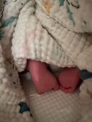 -禧月荟S月子中心(侨城店)