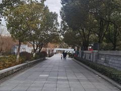 -桐乡植物园