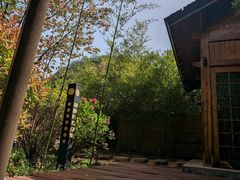 -麦积山温泉