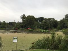 -墨尔本皇家植物园